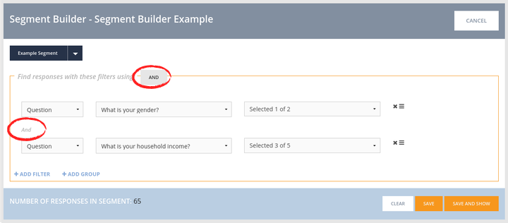 An AND segment - Note the “AND” at the top of the filters